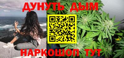 гидра Краснознаменск