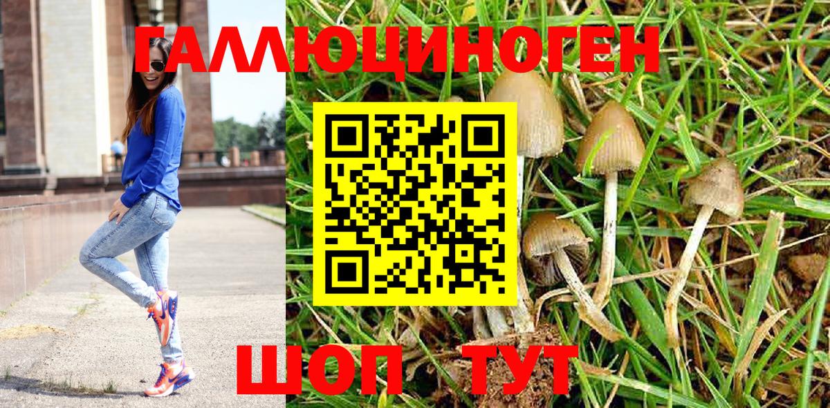 Псилоцибиновые грибы ЛСД Красногорск