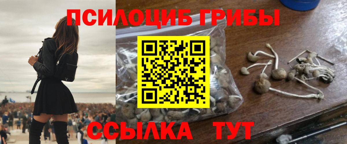 Галлюциногенные грибы Cubensis  Галлюциногенные грибы Psilocybine cubensis  Вход с VPN  Красногорск 